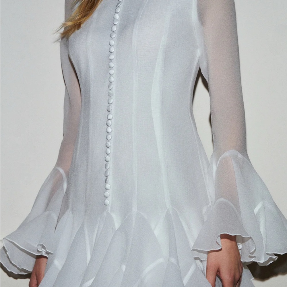 Commense Romance Ruffle Sheer Dress - Picture 8 of 12